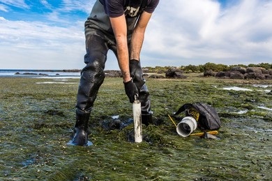 Ocean Sediments Analysis