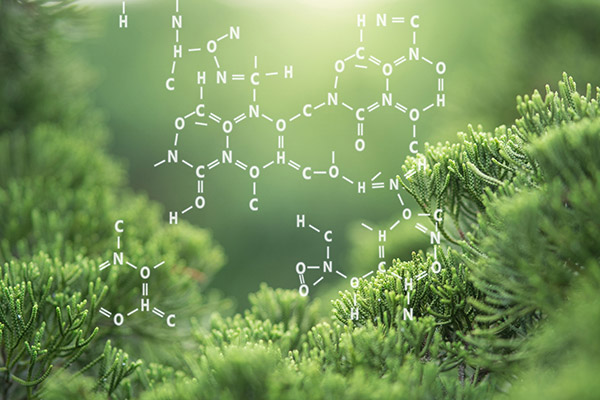 Plant Biochemical Analysis