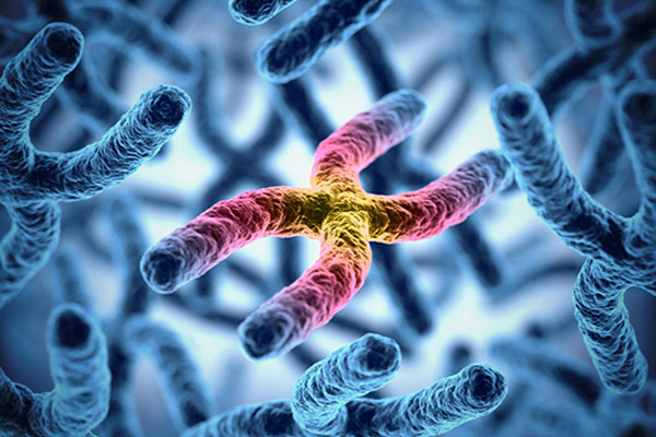 Gene Copy Number Analysis