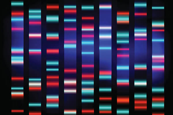 Gene Copy Number Analysis