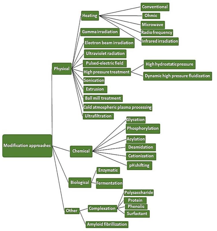 Fig.1. Plant-based proteins modification approaches scheme.