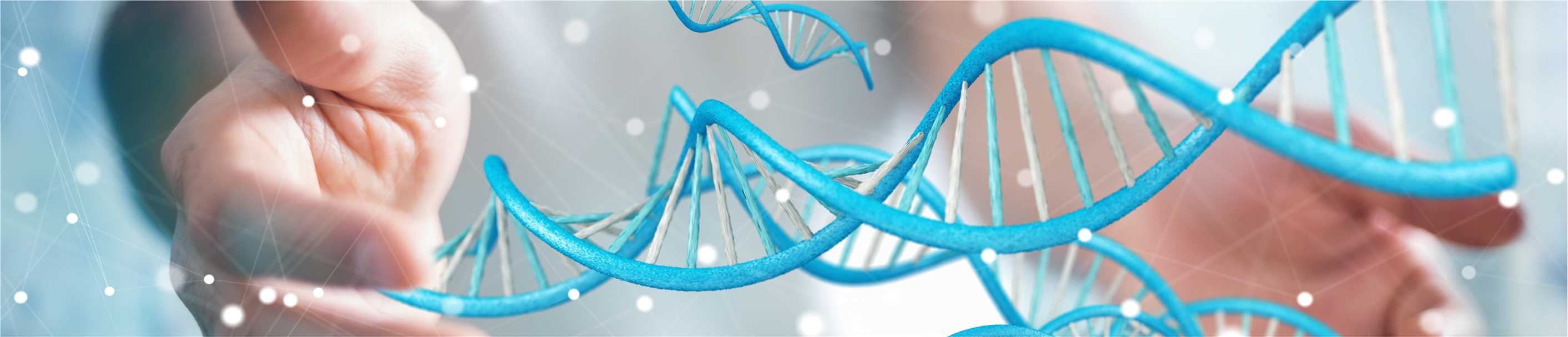 RNA Interference (RNAi) Mediated Gene Silencing in Plants